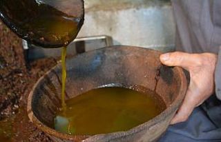 Doğanın iksiri zeytin sütü