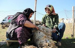 Doktora tezi için 8 aydır göçerlerle birlikte...