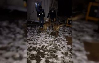 Donmak üzere olan köpek ve yavrularını Diyarbakır...