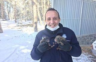 Donmak üzereyken bulunan köpek ve yavruları barınağa...