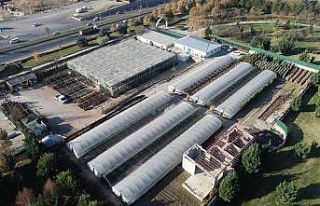 Dört mevsim güzelliğine doyulmayan Sincan Sera...