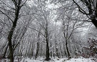 Düzce’de kar, kartpostallık görüntüler oluşturdu