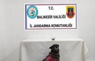 Edremit’te uyuşturucu operasyonu