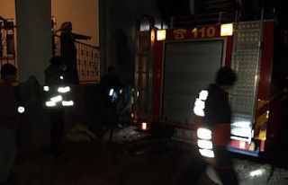 Elektrik direğinde mahsur kalan kediyi itfaiye ekipleri...