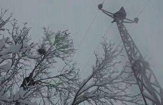 Elektrik direğinde ölümle dans