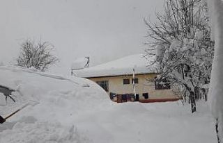Elektrik, su ve ulaşım olmayan köyde vatandaşlar...