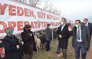 Emet’te ’Keçi peyniri’ projesi