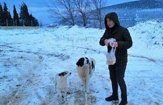 Erdek’te sokak hayvanları unutulmadı