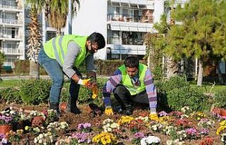 Erdemli Belediyesi yılda 20 bin bitki üretiyor