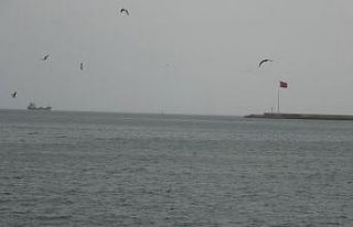 Ereğli’de yağmur ve rüzgar etkili oldu