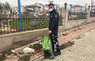 Ergene Belediyesi sokak hayvanlarını yalnız bırakmıyor