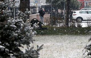 Erzincan Adalet Sarayı’nın bahçesine bırakılan...