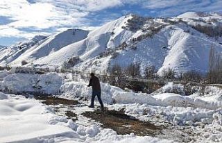 Erzincan’da yaban hayvanları için doğaya yem...