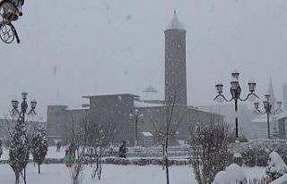 Erzurum’da kar esareti
