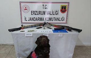 Erzurum’da uyuşturucu operasyonu: 1 tutuklama