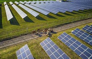 Eskinazi’den ’2020’ değerlendirmesi