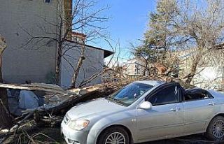 Eskişehir’de rüzgârın şiddeti saate 89 kilometreye...
