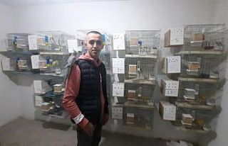 Evinin damında beslediği papağanları satarak gelir...