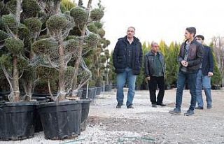 Eyyübiye’de yeni parklara yeni fidanlar