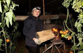 Fethiye’de sera üreticisinin sobalı don nöbeti