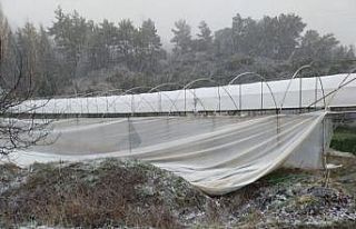 Fırtına seraları yıkıp geçti