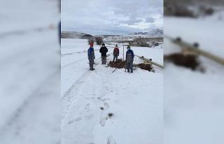 Fırtınadan dolayı elektrik direkleri devrilen köye...