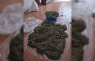 Gaziantep’te 25 kilo bonzai ele geçirildi