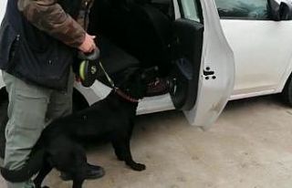 Gece, 462 adet uyuşturucu hap buldu