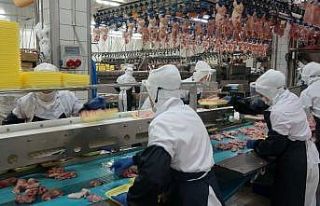 Gedik Piliç pandemiye rağmen yatırımlarına devam...