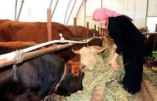 Genç çiftçi projesiyle başladı şimdi siparişlere...