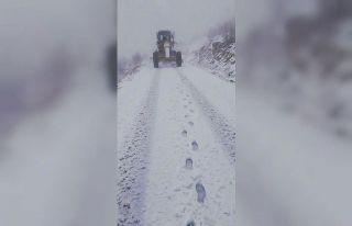 Gercüş’te kar yağışı hayatı durma noktasına...