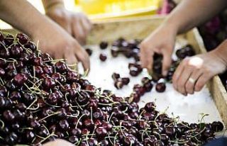 Gıda Güvenliği için dev adım: ‘Kullandığımız...