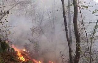 Giresun’da 4 günde 63 kırsal yangın meydana geldi