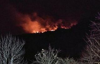 Giresun’da orman yangını