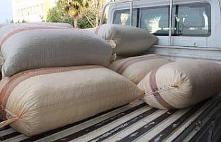 Giresun’da serbest piyasada fındık fiyatları...