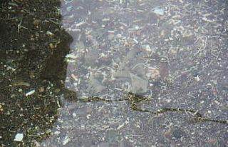 Gizli tehlike mikroplastik: Suda, havada, sofra tuzunda,...