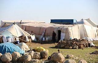 Göçerlerin teknolojiden uzak zorlu yaşamları