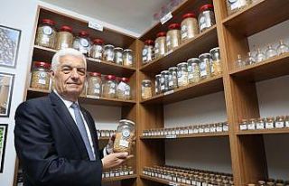 Gökova susamı gelecek nesimler için donduruldu