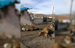 Gölbaşı’nda şiddetli rüzgarda kopan kablolar...