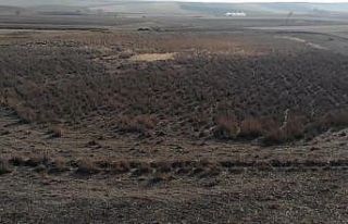 Gölet tamamen kurudu, ‘doğayı hor kullanıyoruz’...