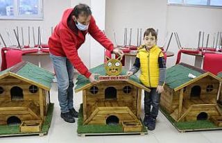 Gönüllüler sokak hayvanlarına ahşaptan ev yaptılar