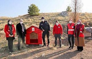 Gönüllülerce Meram’a yeni kedi, köpek ve kuş...