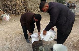 "Güllece bulamacı" çiftçilerin kurtarıcısı...