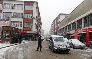 Gümüşhane’de etkili kar yağışı