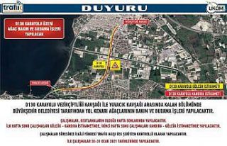 Hafta sonu D-130’da ağaçlar budanacak