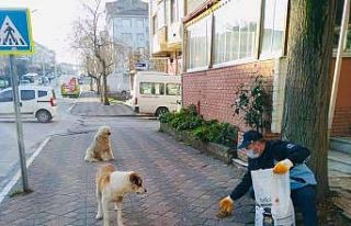 Hafta sonu sokak hayvanları unutulmadı