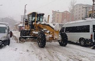 Hakkari Belediyesinden karla mücadele çalışması