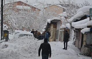 Hakkari’de 213 yerleşim yerinin yolu kapandı