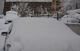 Hakkari’de 213 yerleşim yolu kapandı