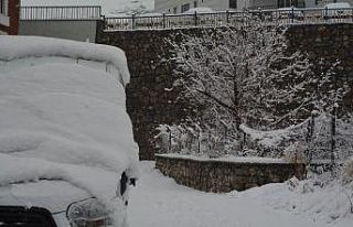 Hakkari’de 289 yerleşim yeri ulaşıma kapandı